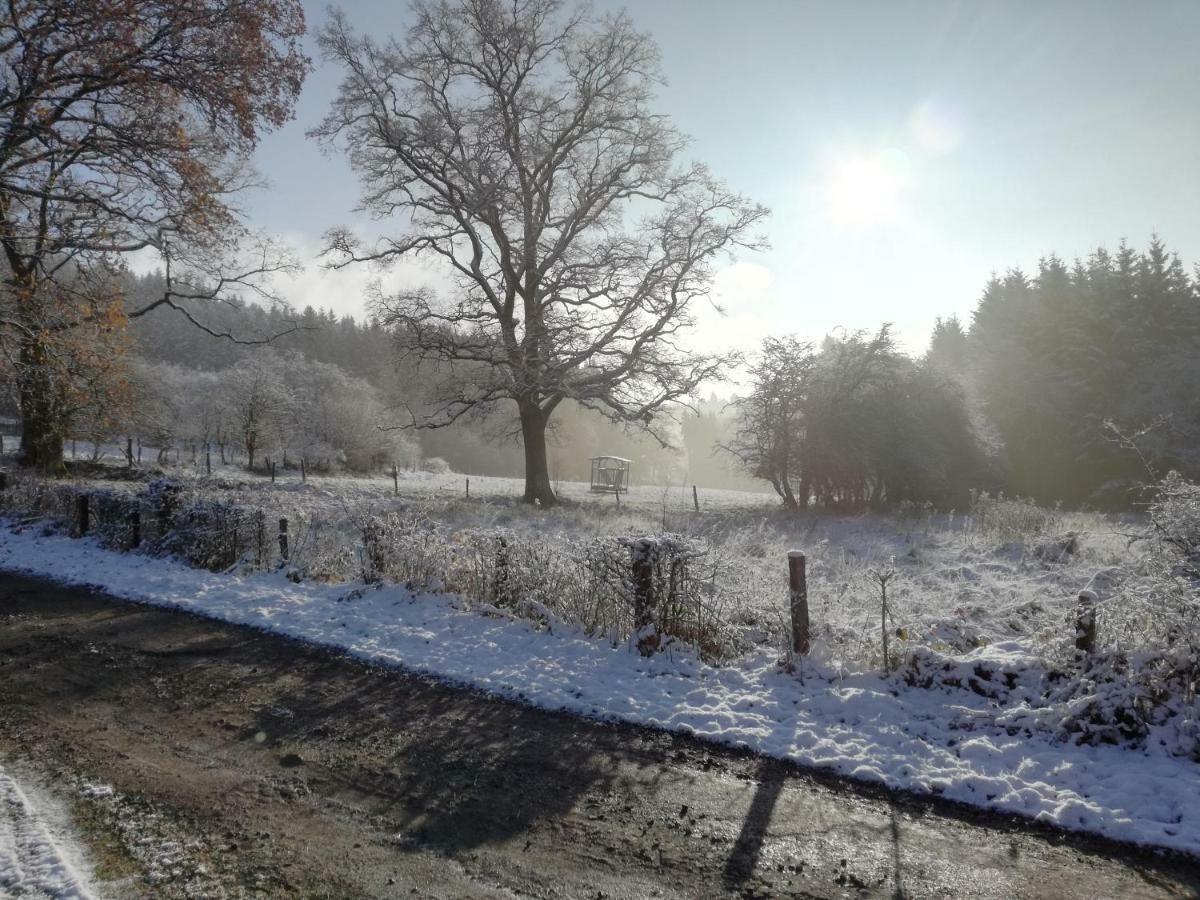 La Bergerie De Ster Villa Francorchamps Eksteriør bilde